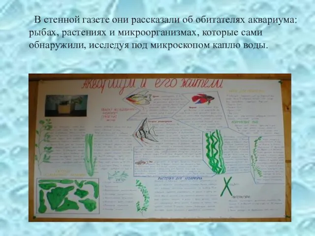 В стенной газете они рассказали об обитателях аквариума: рыбах, растениях и микроорганизмах,