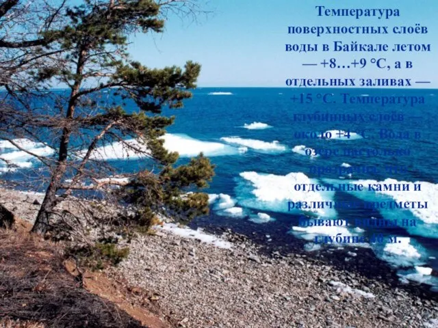 Температура поверхностных слоёв воды в Байкале летом — +8…+9 °С, а в