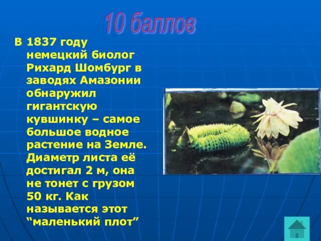 В 1837 году немецкий биолог Рихард Шомбург в заводях Амазонии обнаружил гигантскую