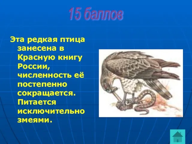 Эта редкая птица занесена в Красную книгу России, численность её постепенно сокращается.