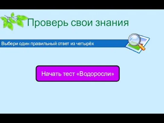 Проверь свои знания Выбери один правильный ответ из четырёх Начать тест «Водоросли»