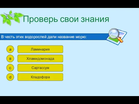 Проверь свои знания В честь этих водорослей дали название морю: а в