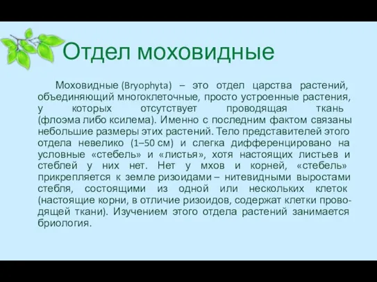 Отдел моховидные Моховидные (Bryophyta) – это отдел царства растений, объединяющий многоклеточные, просто