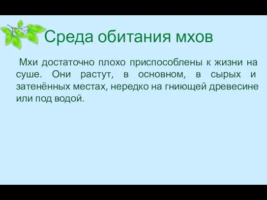 Среда обитания мхов Мхи достаточно плохо приспособлены к жизни на суше. Они