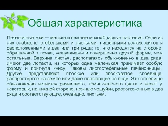 Общая характеристика Печёночные мхи — мелкие и нежные мохообразные растения. Одни из