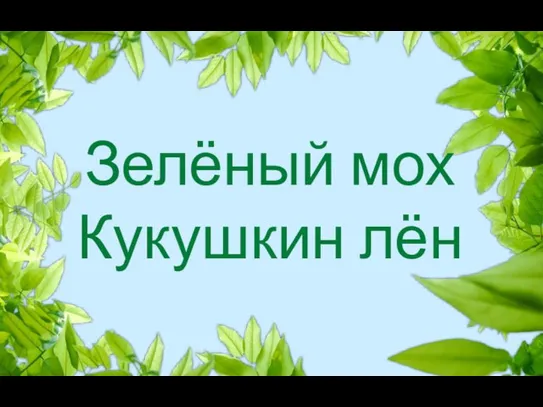 Зелёный мох Кукушкин лён