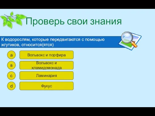 Проверь свои знания К водорослям, которые передвигаются с помощью жгутиков, относится(ятся) а