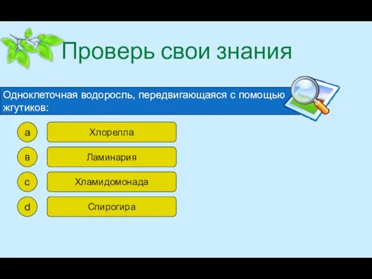 Проверь свои знания Одноклеточная водоросль, передвигающаяся с помощью жгутиков: а в с