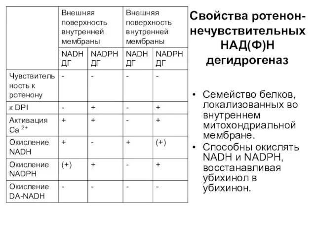 Свойства ротенон-нечувствительных НАД(Ф)Н дегидрогеназ Семейство белков, локализованных во внутреннем митохондриальной мембране. Способны