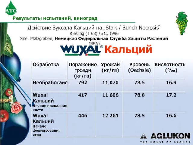 Действие Вуксала Кальций на „Stalk / Bunch Necrosis“ Riesling (T 68) /5