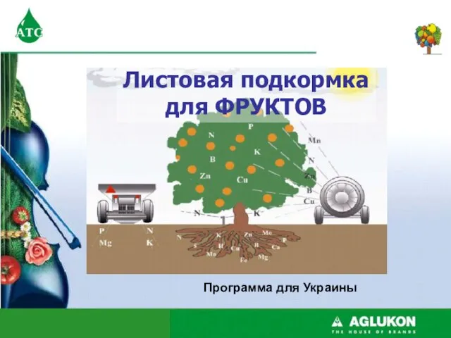 Программа для Украины Foliar Fertilizers in FRUITS Листовая подкормка для ФРУКТОВ