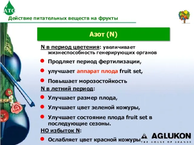 Азот (N) N в период цветения: увеличивает жизнеспособность генерирующих органов Продляет период