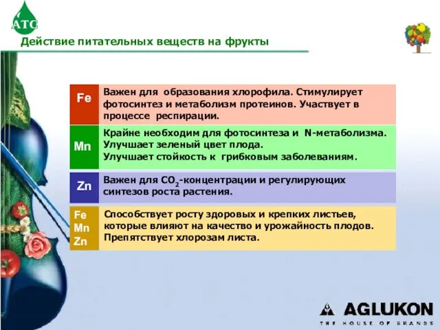 Способствует росту здоровых и крепких листьев, которые влияют на качество и урожайность