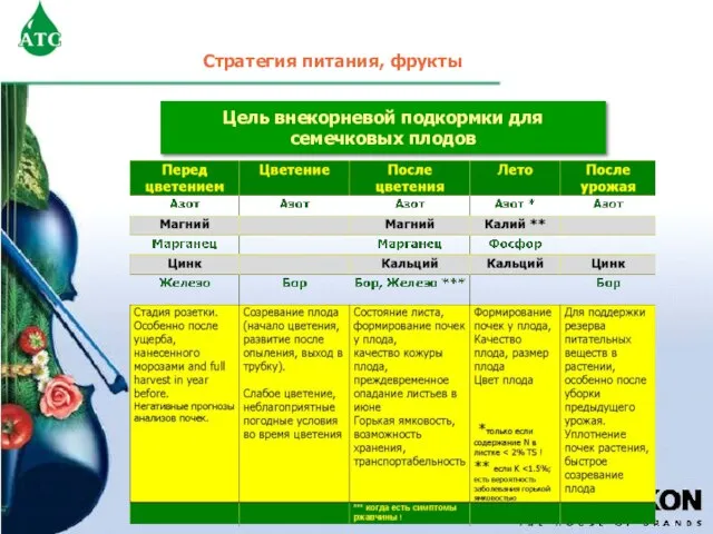 Стратегия питания, фрукты Цель внекорневой подкормки для семечковых плодов