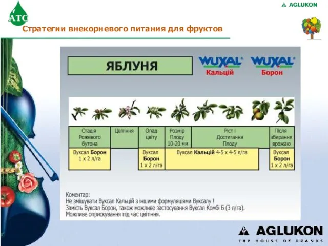 Стратегии внекорневого питания для фруктов