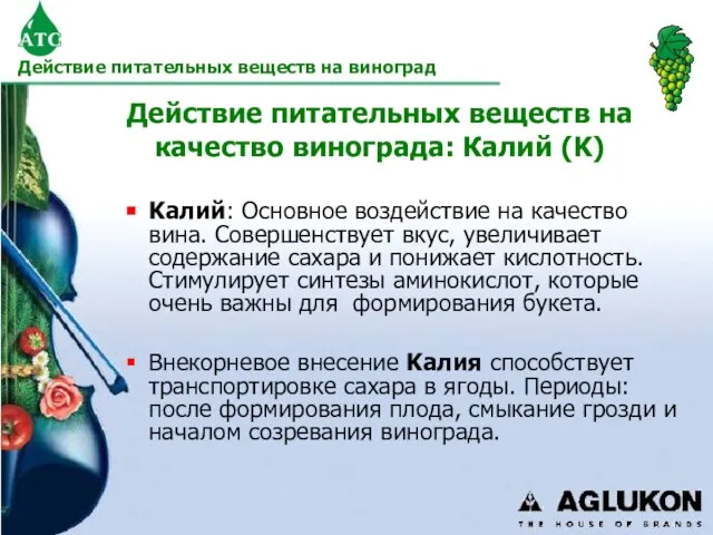 Действие питательных веществ на качество винограда: Калий (K) Kалий: Основное воздействие на