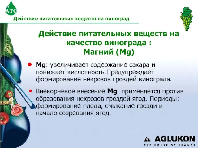 Действие питательных веществ на качество винограда : Магний (Mg) Mg: увеличивает содержание