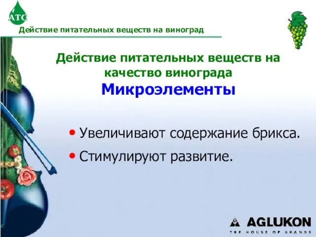 Действие питательных веществ на качество винограда Микроэлементы Увеличивают содержание брикса. Стимулируют развитие.