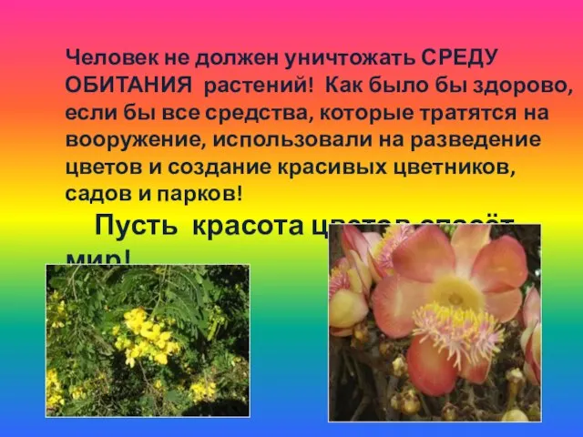 Человек не должен уничтожать СРЕДУ ОБИТАНИЯ растений! Как было бы здорово, если