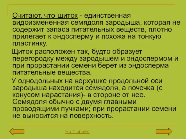 Считают, что щиток - единственная видоизмененная семядоля зародыша, которая не содержит запаса