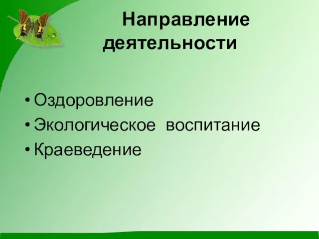 Направление деятельности Оздоровление Экологическое воспитание Краеведение