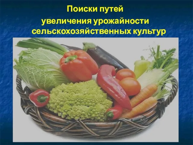 Поиски путей увеличения урожайности сельскохозяйственных культур