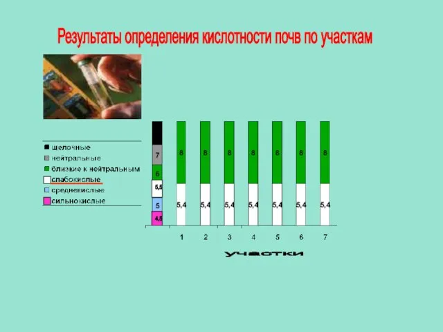 Результаты определения кислотности почв по участкам