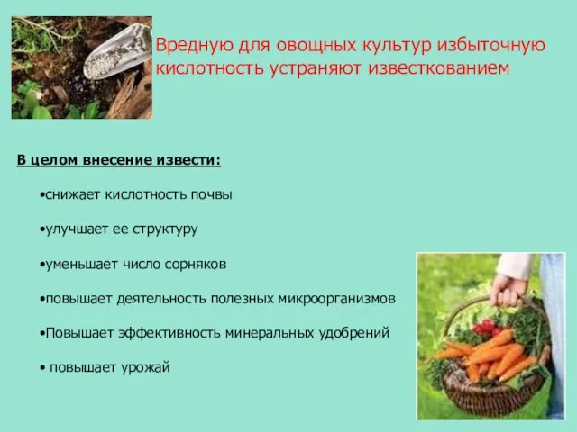 Вредную для овощных культур избыточную кислотность устраняют известкованием В целом внесение извести: