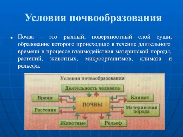 Условия почвообразования Почва – это рыхлый, поверхностный слой суши, образование которого происходило