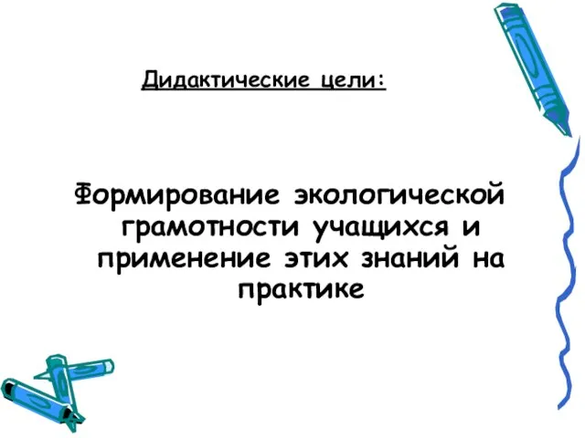 Дидактические цели: Формирование экологической грамотности учащихся и применение этих знаний на практике