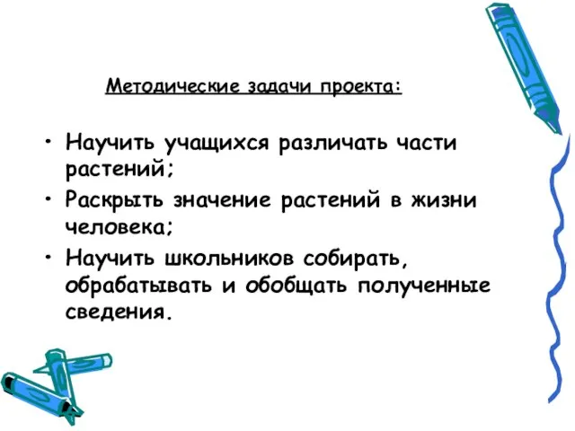 Методические задачи проекта: Научить учащихся различать части растений; Раскрыть значение растений в