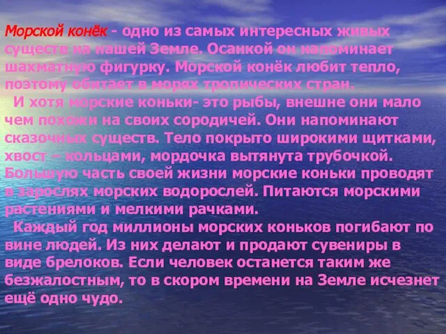 Морской конёк - одно из самых интересных живых существ на нашей Земле.