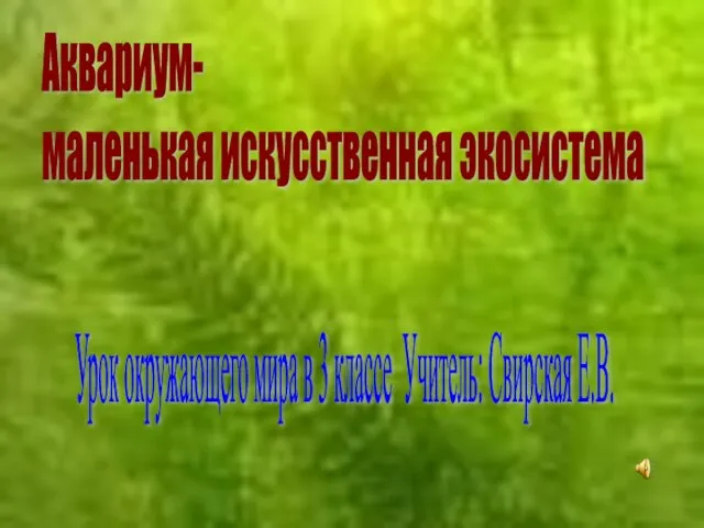 Аквариум- маленькая искусственная экосистема Урок окружающего мира в 3 классе Учитель: Свирская Е.В.