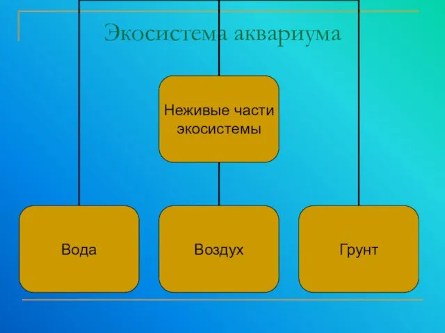 Экосистема аквариума