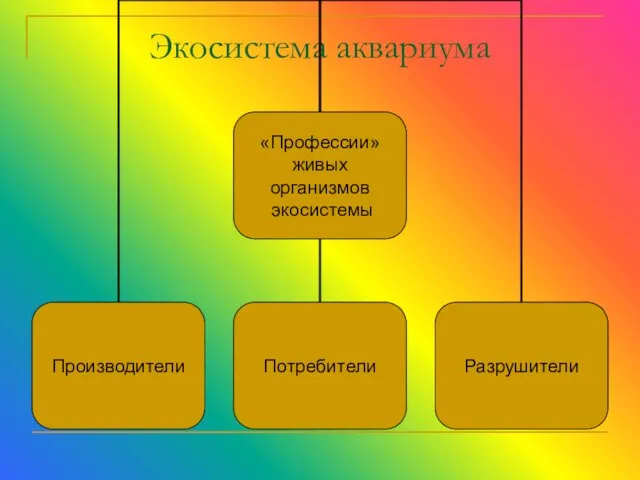 Экосистема аквариума