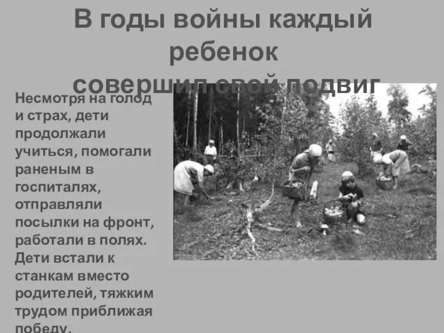 Несмотря на голод и страх, дети продолжали учиться, помогали раненым в госпиталях,