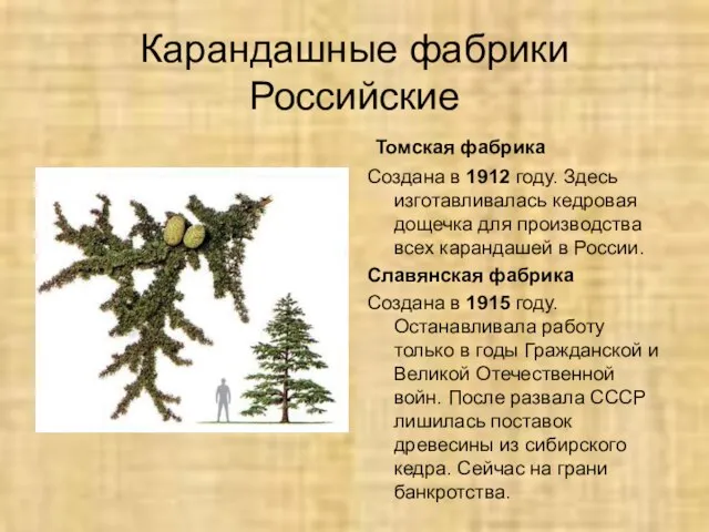 Карандашные фабрики Российские Томская фабрика Создана в 1912 году. Здесь изготавливалась кедровая