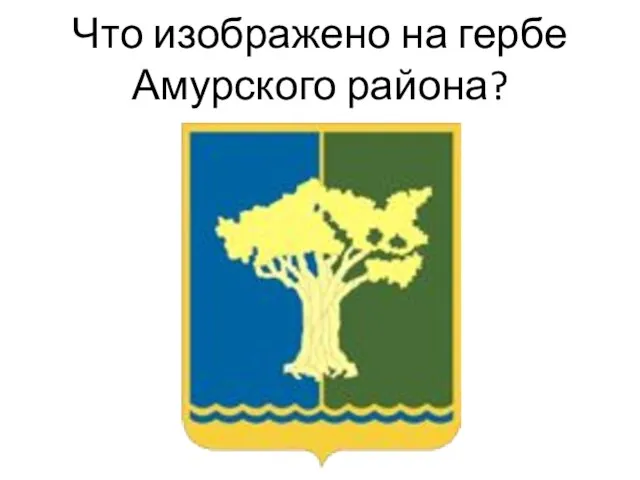 Что изображено на гербе Амурского района?