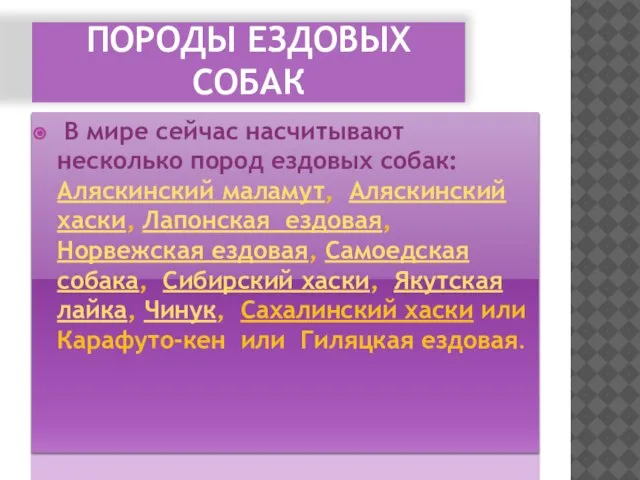 ПОРОДЫ ЕЗДОВЫХ СОБАК В мире сейчас насчитывают несколько пород ездовых собак: Аляскинский