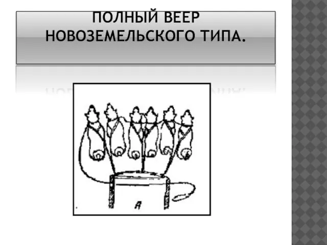 ПОЛНЫЙ ВЕЕР НОВОЗЕМЕЛЬСКОГО ТИПА.