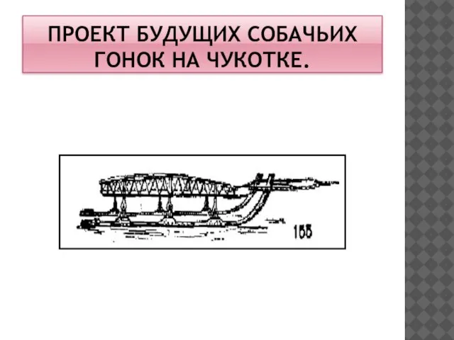 ПРОЕКТ БУДУЩИХ СОБАЧЬИХ ГОНОК НА ЧУКОТКЕ.