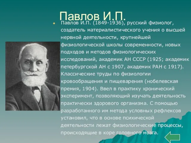 Павлов И.П. Павлов И.П. (1849-1936), русский физиолог, создатель материалистического учения о высшей