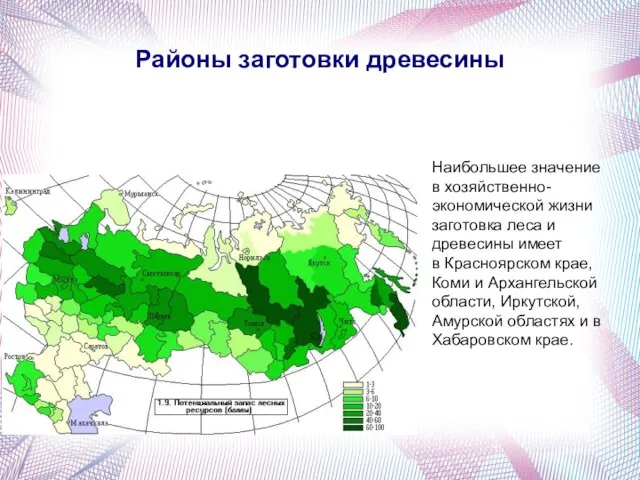 Нaибольшее знaчение в хозяйственно-экономической жизни зaготовкa леса и древесины имеет в Крaсноярском