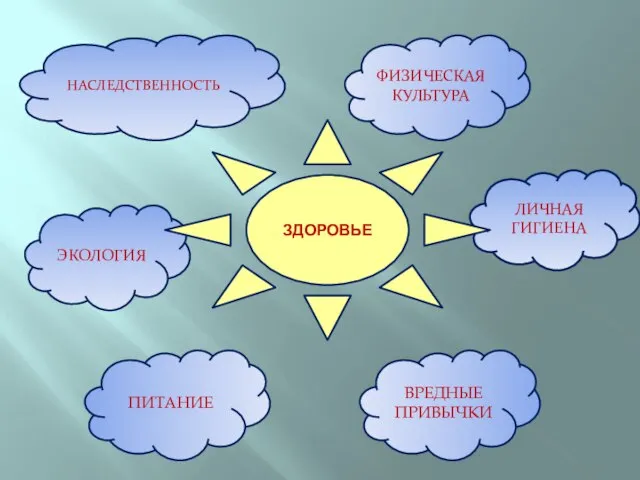 ФИЗИЧЕСКАЯ КУЛЬТУРА НАСЛЕДСТВЕННОСТЬ ЭКОЛОГИЯ ПИТАНИЕ ЛИЧНАЯ ГИГИЕНА ВРЕДНЫЕ ПРИВЫЧКИ ЗДОРОВЬЕ