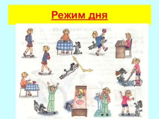 Режим дня