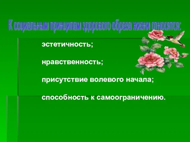 эстетичность; нравственность; присутствие волевого начала; способность к самоограничению. К социальным принципам здорового образа жизни относятся: