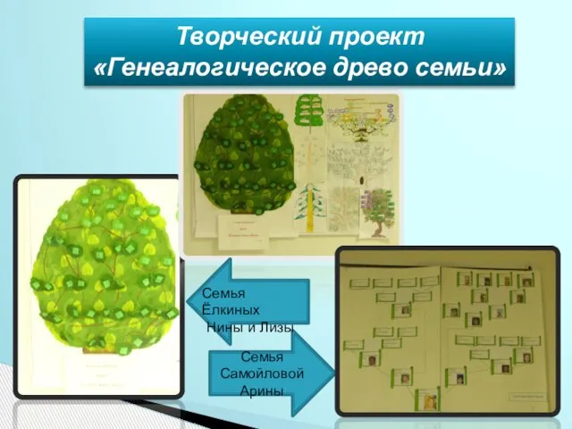 Семья Самойловой Арины Семья Ёлкиных Нины и Лизы Творческий проект «Генеалогическое древо семьи»