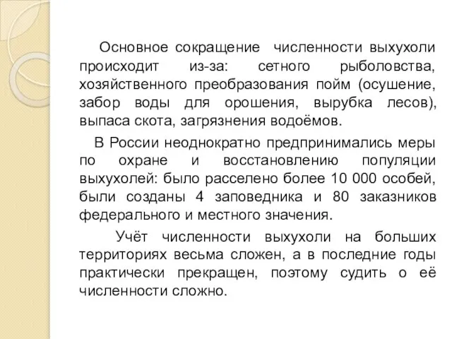 Основное сокращение численности выхухоли происходит из-за: сетного рыболовства, хозяйственного преобразования пойм (осушение,