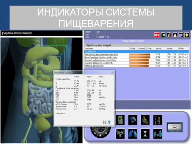 ИНДИКАТОРЫ СИСТЕМЫ ПИЩЕВАРЕНИЯ