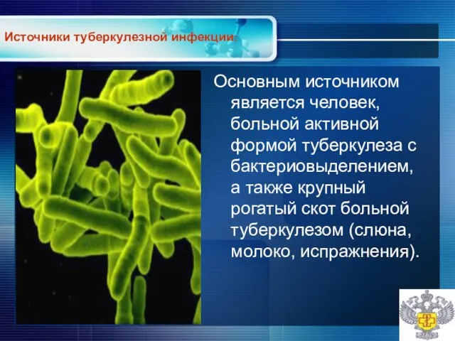 Основным источником является человек, больной активной формой туберкулеза с бактериовыделением, а также